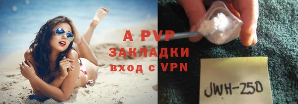 стаф Абаза
