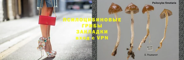 стаф Абаза
