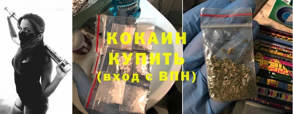 стаф Абаза