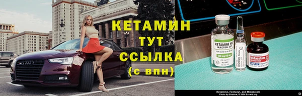 стаф Абаза