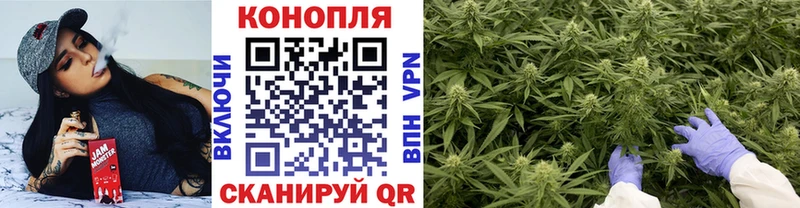 Конопля тримм  магазин    Холм 